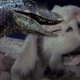 Illustration for article titled Jurassic Park 4 A Long Shot, But NeverEnding Storys Coming